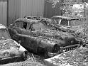 Autofriedhof - 036